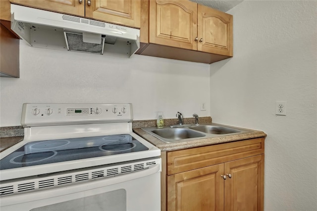 kitchen with a sink, under cabinet range hood, and white range with electric cooktop