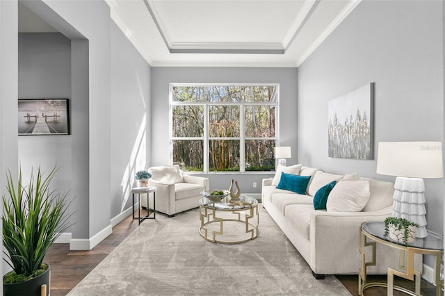 living area featuring crown molding, a tray ceiling, wood finished floors, and baseboards