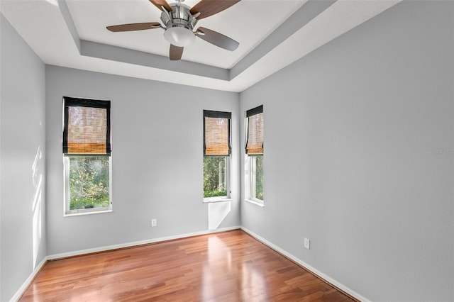 unfurnished room with a tray ceiling, wood finished floors, and a wealth of natural light