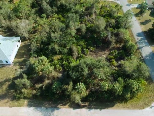 17307 Elmwood Ave, Port Charlotte, FL 33948 - photo 4