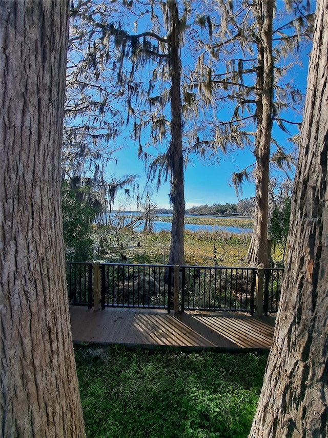 view of yard featuring a water view