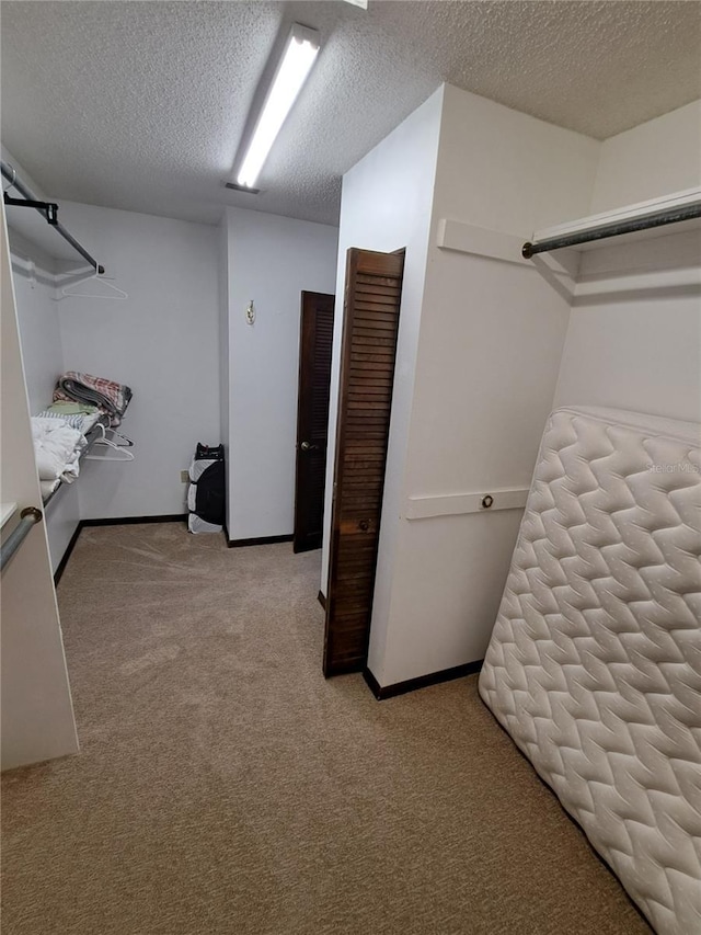 walk in closet with carpet flooring