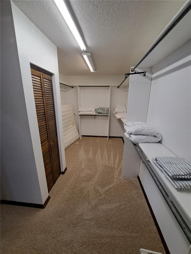 spacious closet with light colored carpet