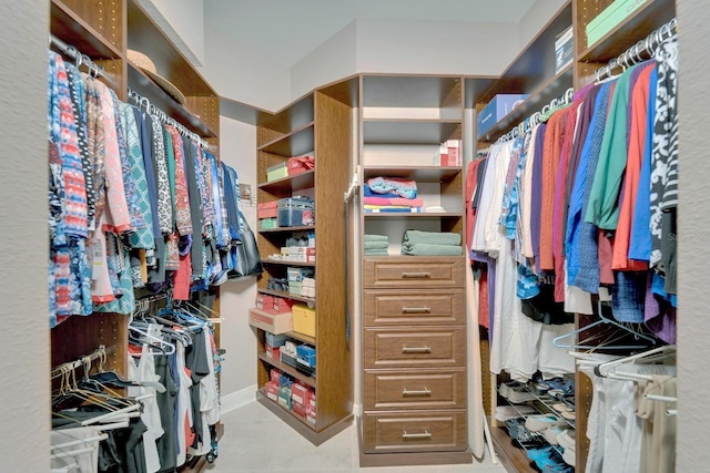 view of spacious closet