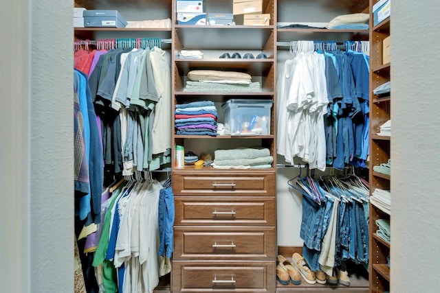 view of spacious closet