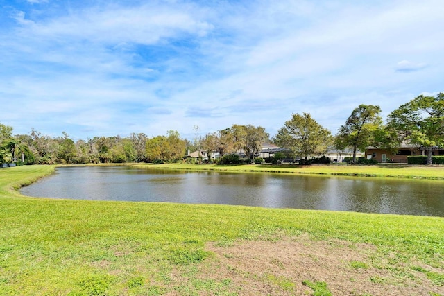 5115 Abisher Wood Ln, Brandon, FL 33511 - water view