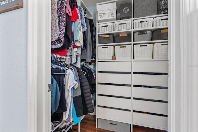 spacious closet with wood finished floors