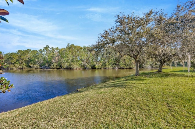 property view of water