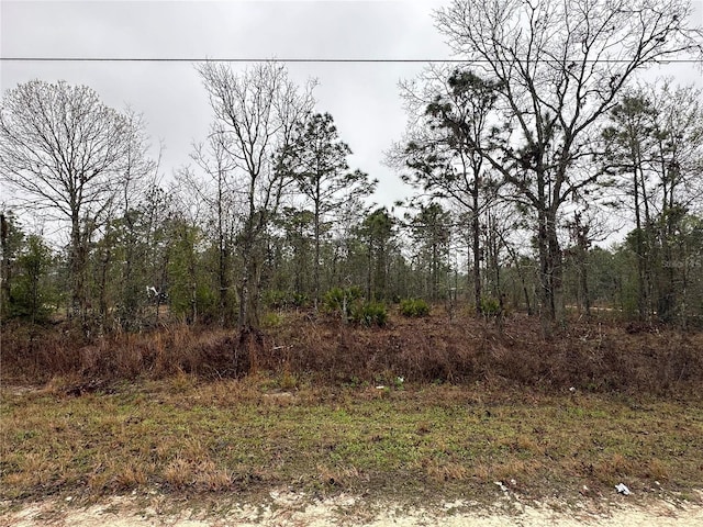 16419 Crane Rd, Weeki Wachee FL, 34614 land for sale