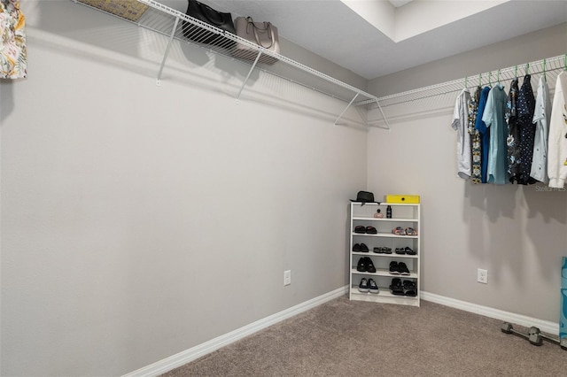 spacious closet featuring carpet floors