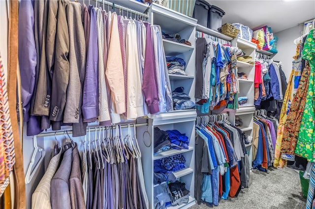 walk in closet featuring carpet