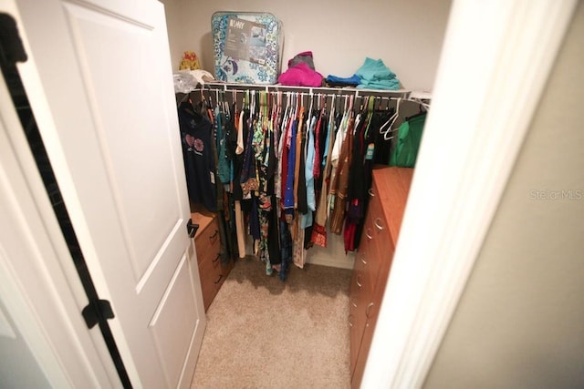 spacious closet with carpet floors