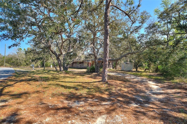 view of yard featuring an outbuilding and a storage shed