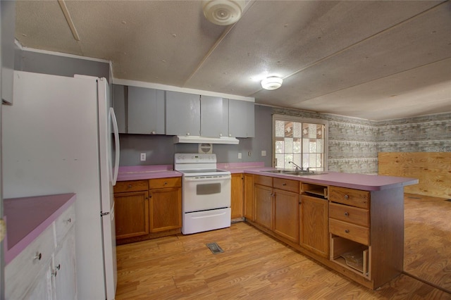 kitchen featuring under cabinet range hood, a peninsula, white appliances, a sink, and light wood finished floors