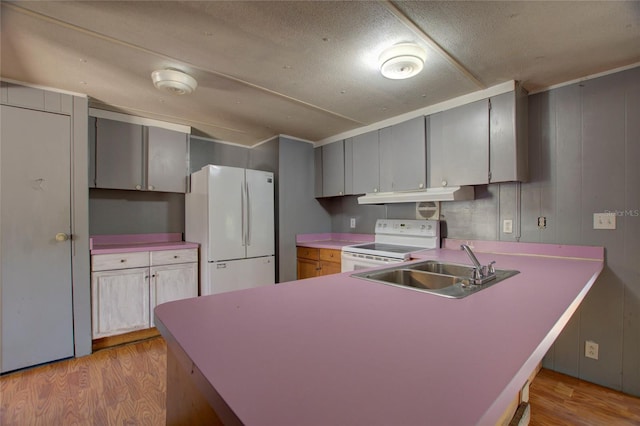 kitchen featuring light wood-style flooring, white appliances, a sink, and under cabinet range hood