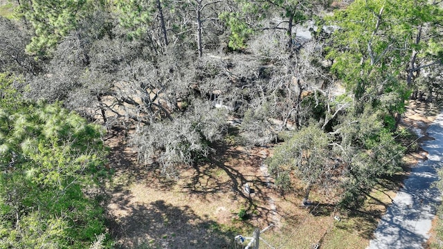 birds eye view of property with a wooded view