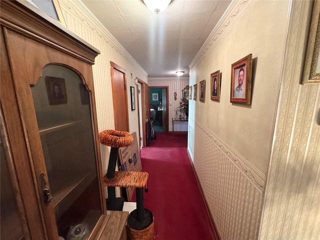 hallway featuring carpet flooring and crown molding