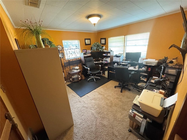 carpeted office with ornamental molding and visible vents