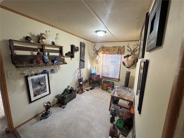 misc room with carpet flooring, crown molding, and a textured ceiling