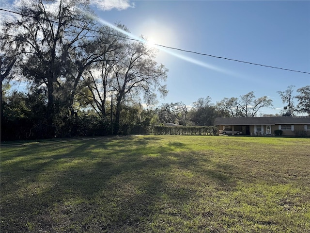 view of yard