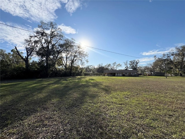 view of yard