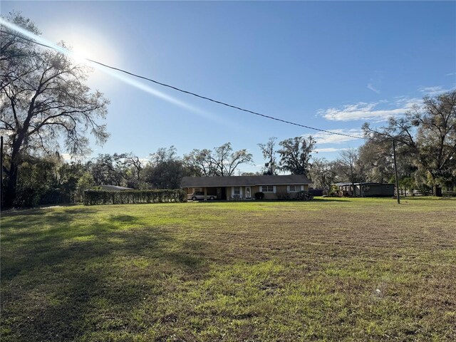 view of yard
