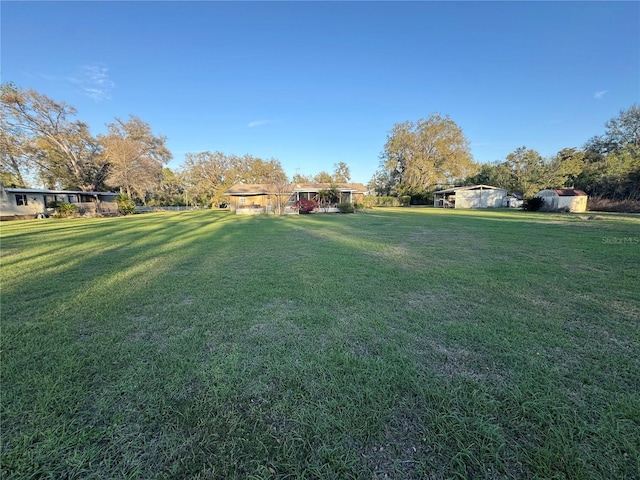 view of yard