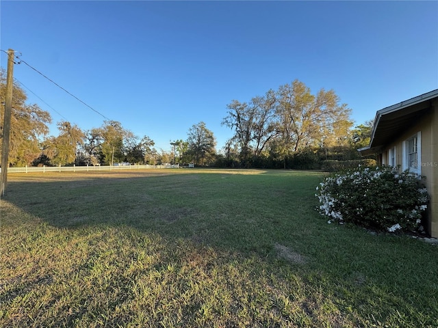 view of yard