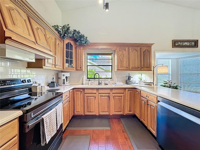 kitchen with electric range, glass insert cabinets, dark wood-type flooring, a sink, and dishwasher