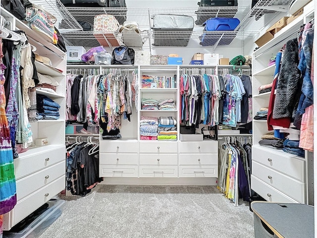 walk in closet with carpet flooring