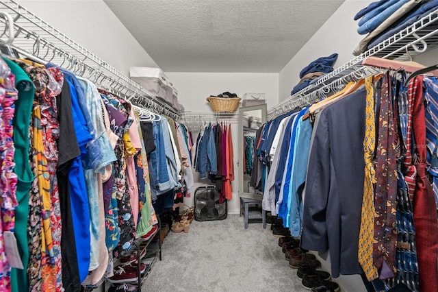 walk in closet with carpet floors