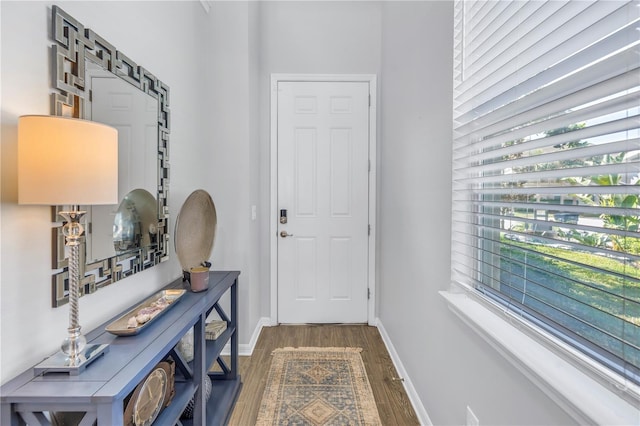 1109 Lady Gouldian Ct, Tampa, FL 33613 - photo 4