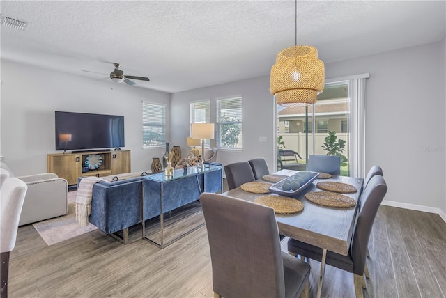 1109 Lady Gouldian Ct, Tampa, FL 33613 - photo 7