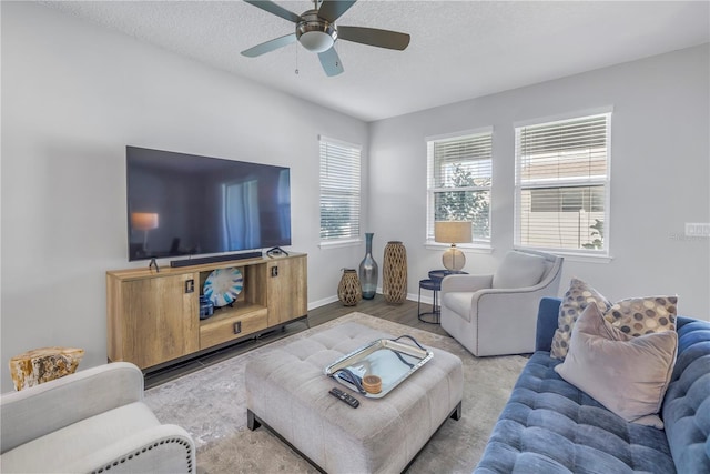 1109 Lady Gouldian Ct, Tampa, FL 33613 - photo 10
