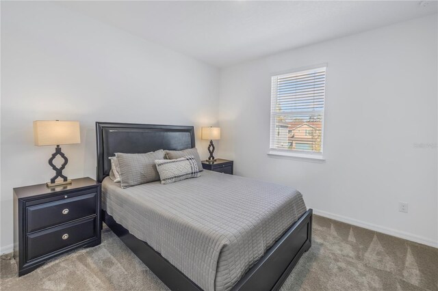 1109 Lady Gouldian Ct, Tampa, FL 33613 - photo 32