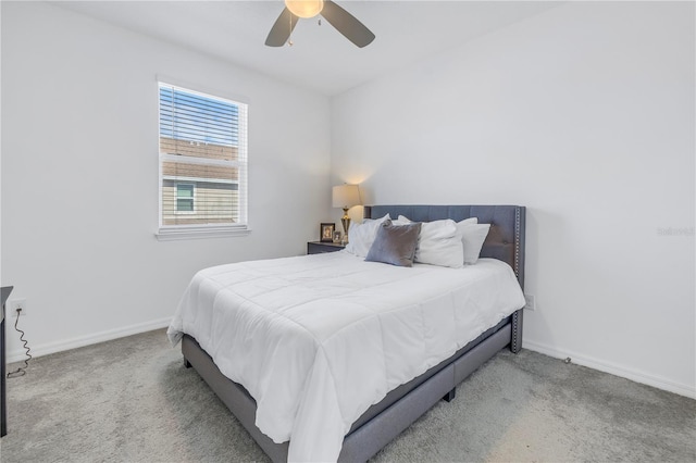 1109 Lady Gouldian Ct, Tampa, FL 33613 - photo 34