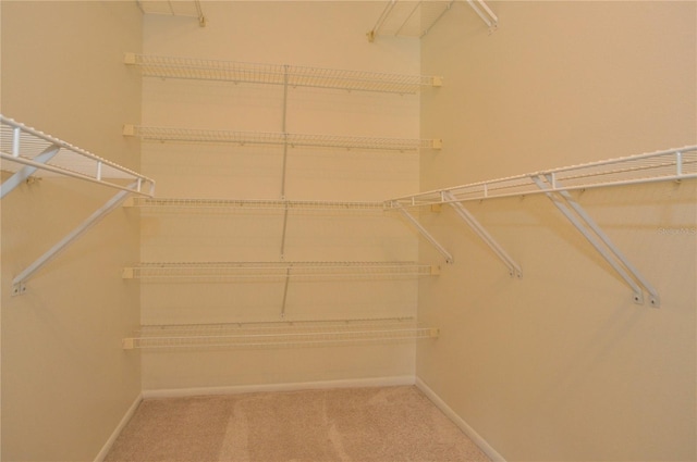 spacious closet with carpet flooring