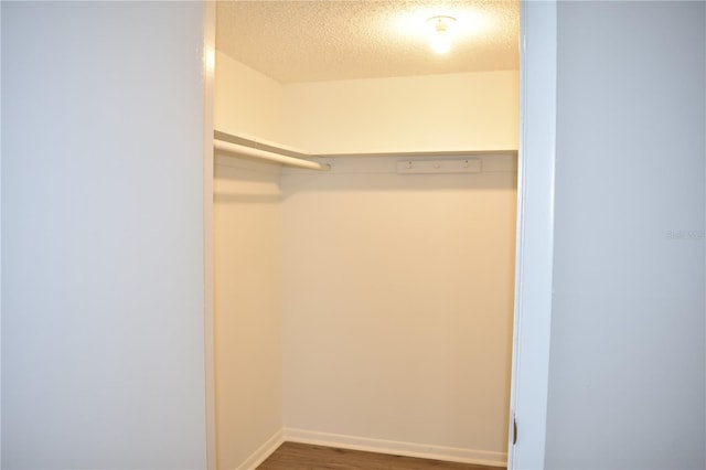 walk in closet featuring wood finished floors