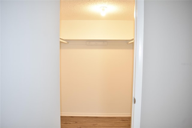 spacious closet with wood finished floors