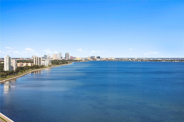 view of water feature with a city view