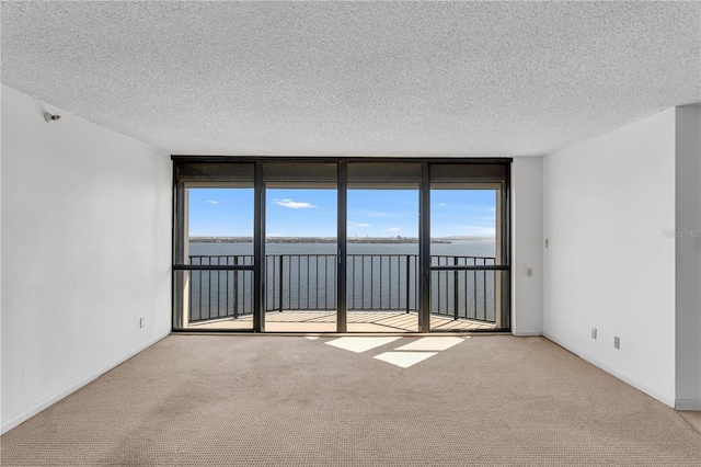 empty room with carpet flooring, a wealth of natural light, and expansive windows