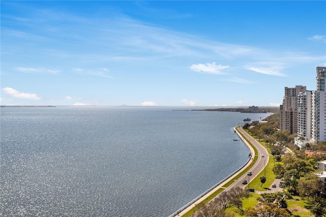 water view with a view of city