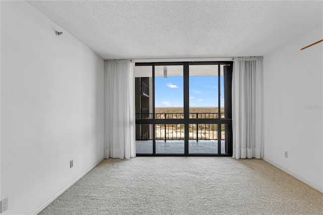 spare room featuring a textured ceiling, baseboards, carpet, and expansive windows