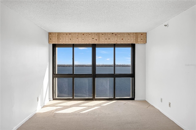 spare room featuring carpet floors, a textured ceiling, a healthy amount of sunlight, and a water view