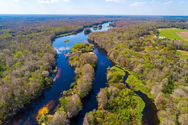 bird's eye view featuring a water view and a forest view