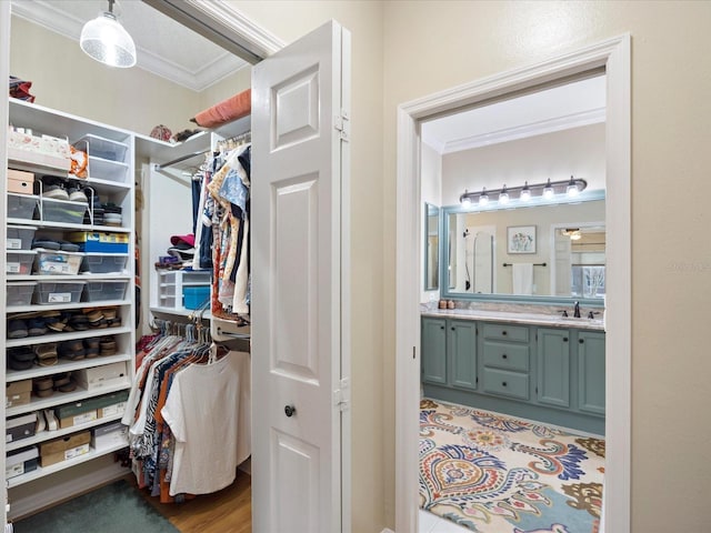 spacious closet with a sink