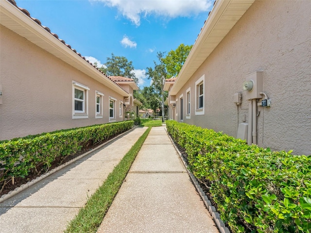 3876 Timber Ridge Ct, Palm Harbor, FL 34685 - photo 5