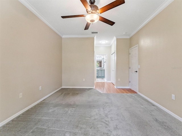 3876 Timber Ridge Ct, Palm Harbor, FL 34685 - photo 18