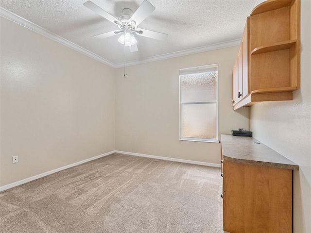 3876 Timber Ridge Ct, Palm Harbor, FL 34685 - photo 22