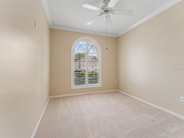 3876 Timber Ridge Ct, Palm Harbor, FL 34685 - photo 26